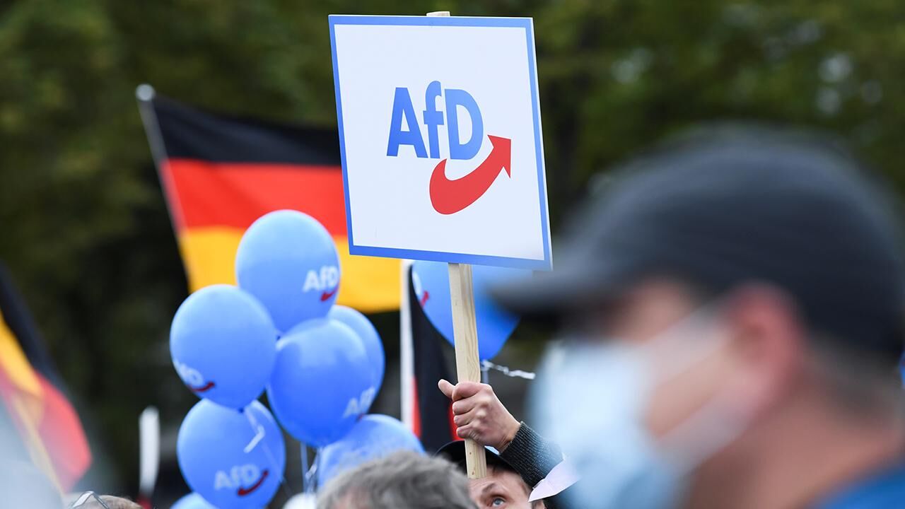 Afd Almanya 1923383
