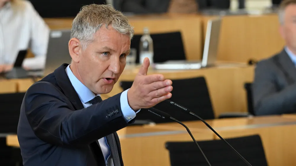Bjoern Hoecke Afd Westdeutsche Ostdeutschland Unterschiede Bild