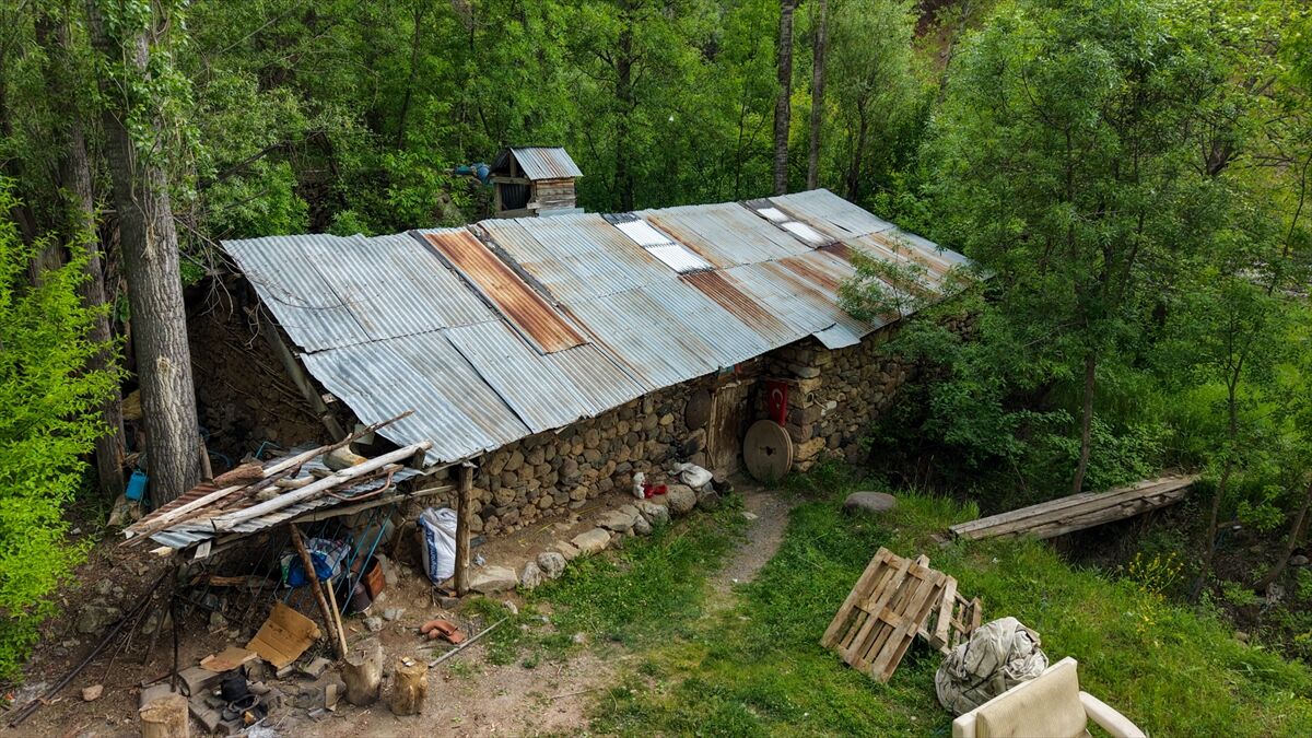 Değirmen