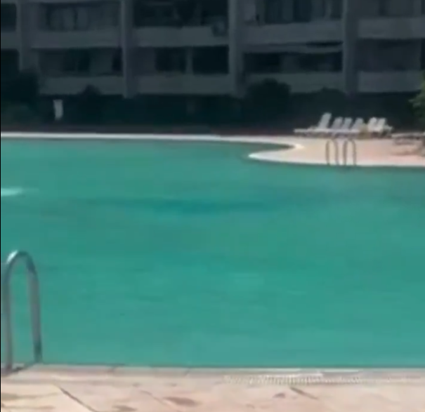 Mersin'deki haşema tartışmasının ardından savcılık harekete geçti