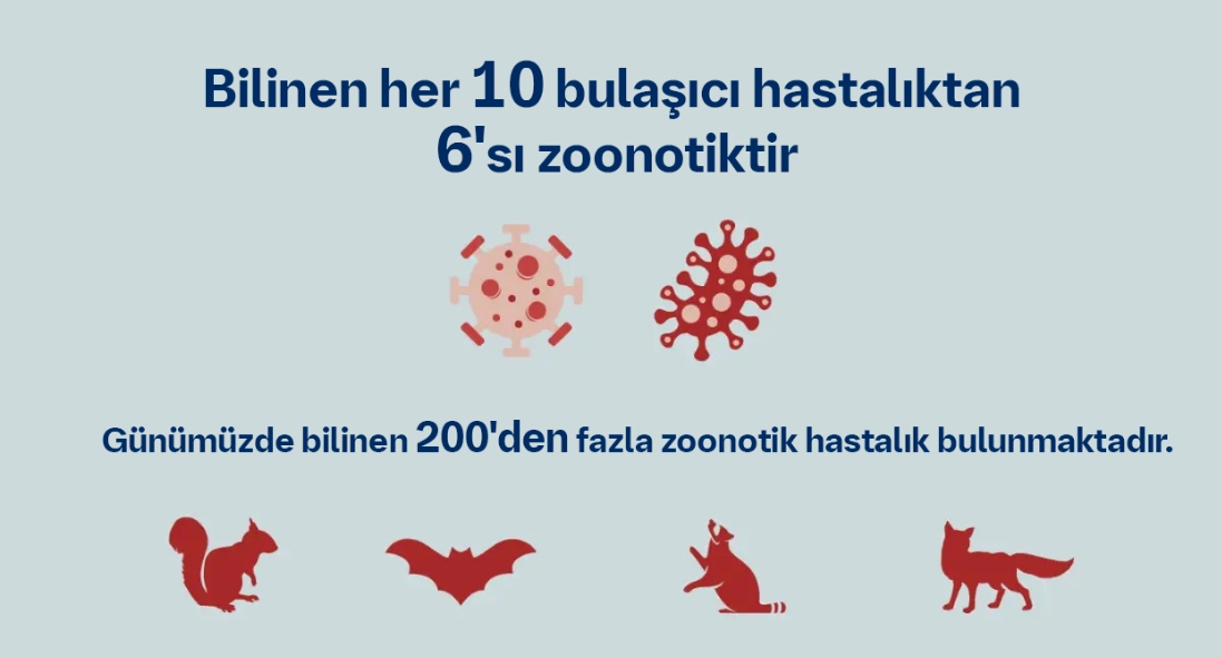 Ekran Görüntüsü 2026 06 24 160949