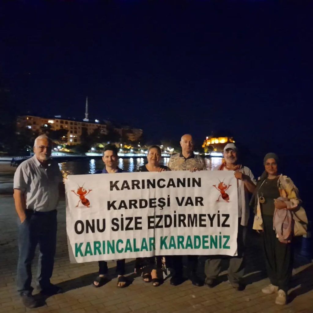 Karıncalar Karadeniz Dayanışma
