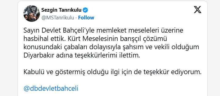 Sezgin2