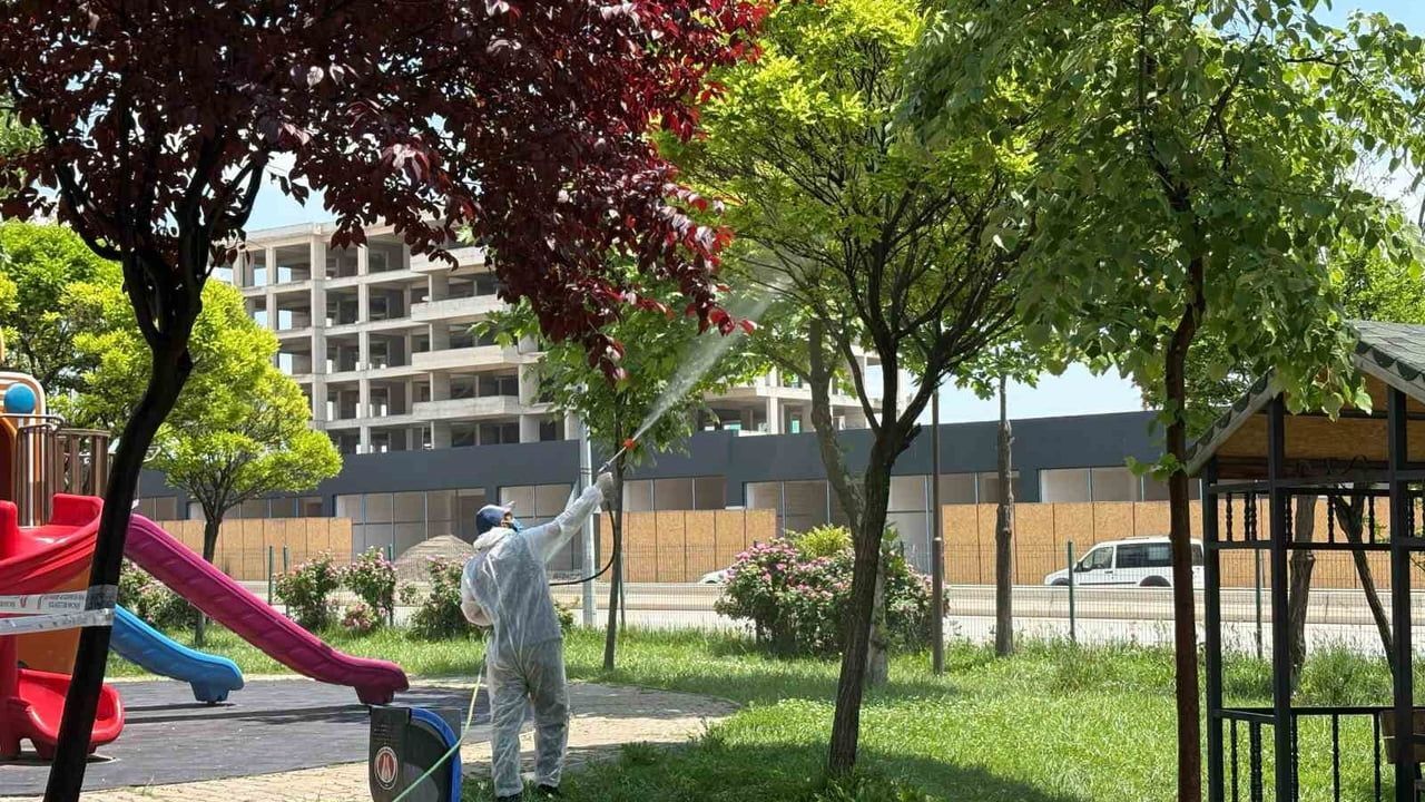 Sincan Belediyesi Nden Yaz Aylarina Ozel Ilaclama Park Ve Yesil Alanlarda Oncelik 1200 819022