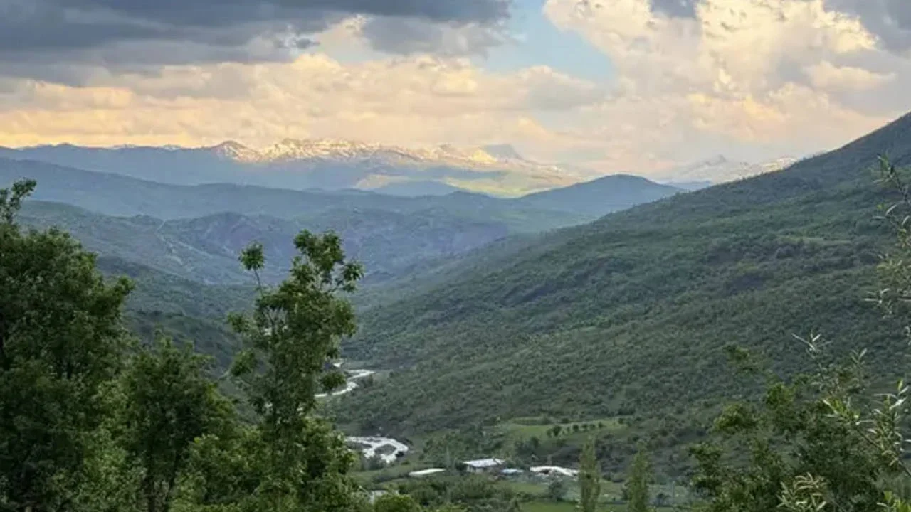 Şırnak Ormanlık Alan