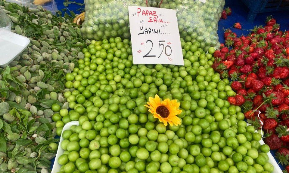 15543216 121189 Pazar Pazarinin Fiyat Sam