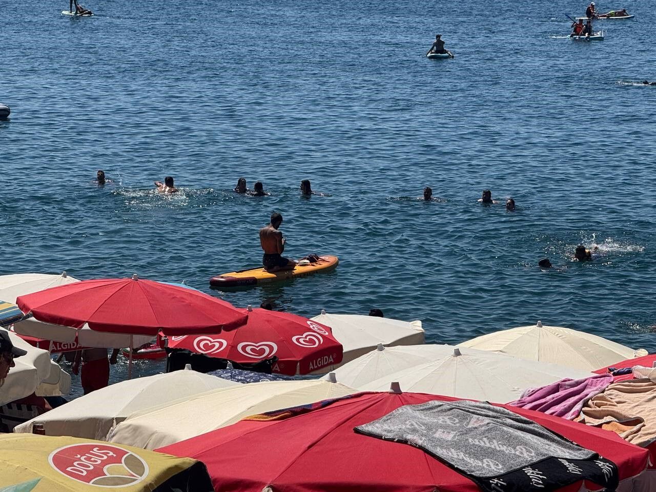 A W745213 02