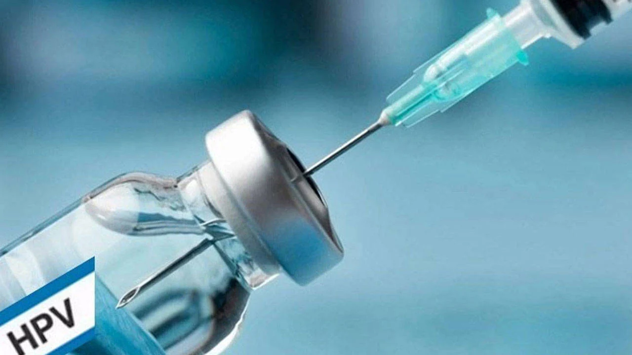 Adanada Hpv Asi Uygulamasi Basladi