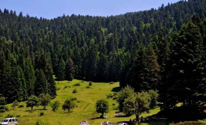 Bolu2-3