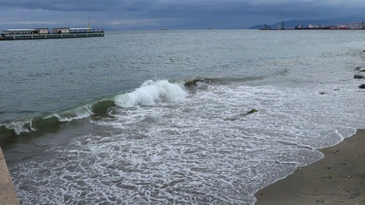Deniz33
