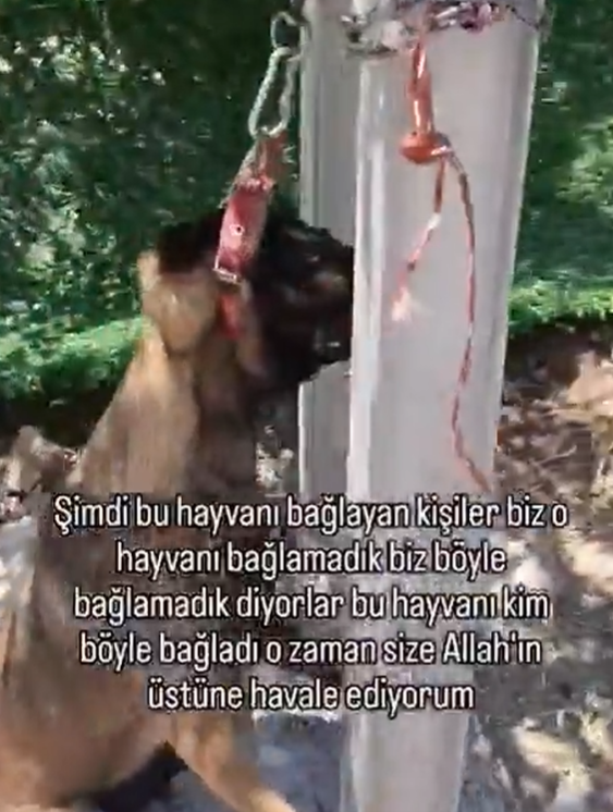 Ekran Görüntüsü 2026 07 20 123100