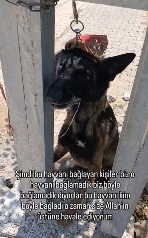 Ekran Görüntüsü 2026 07 20 123134