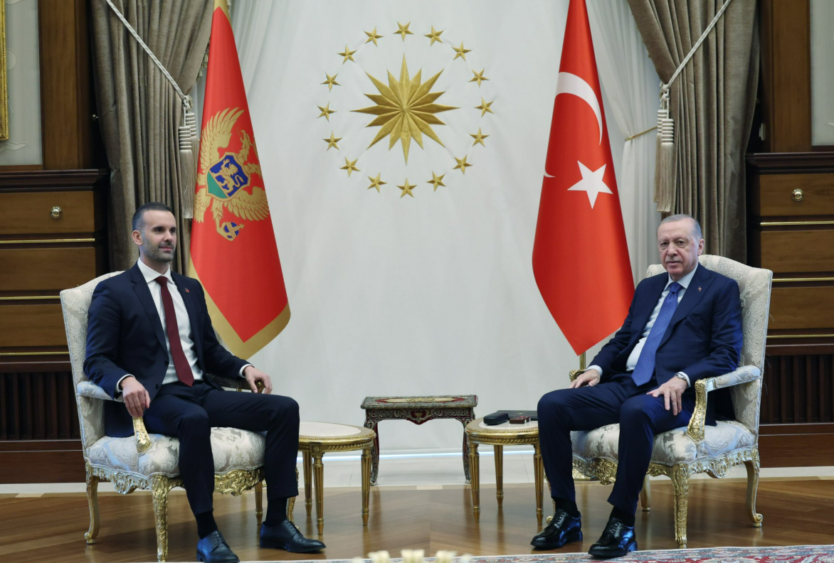 Erdoğan, Spajic’i Kabul Etti 2