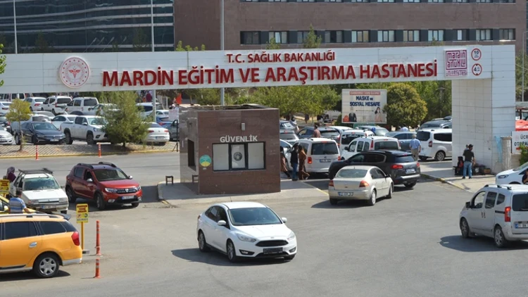 Mardin2