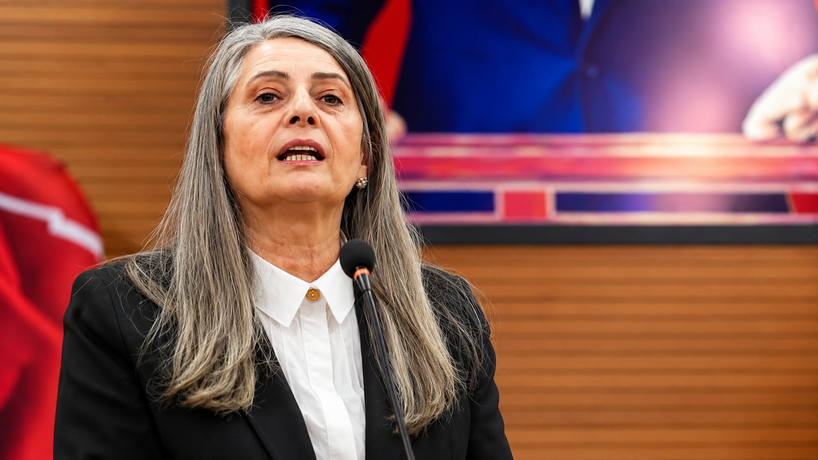 Sibel Suiçmez 1