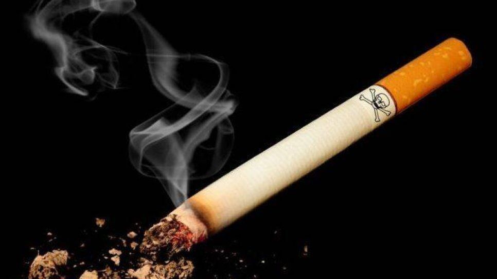 Sigaranin Neden Oldugu Yasam Kayiplari Tahmin Edilenlerin De Otesinde 494751 966 544