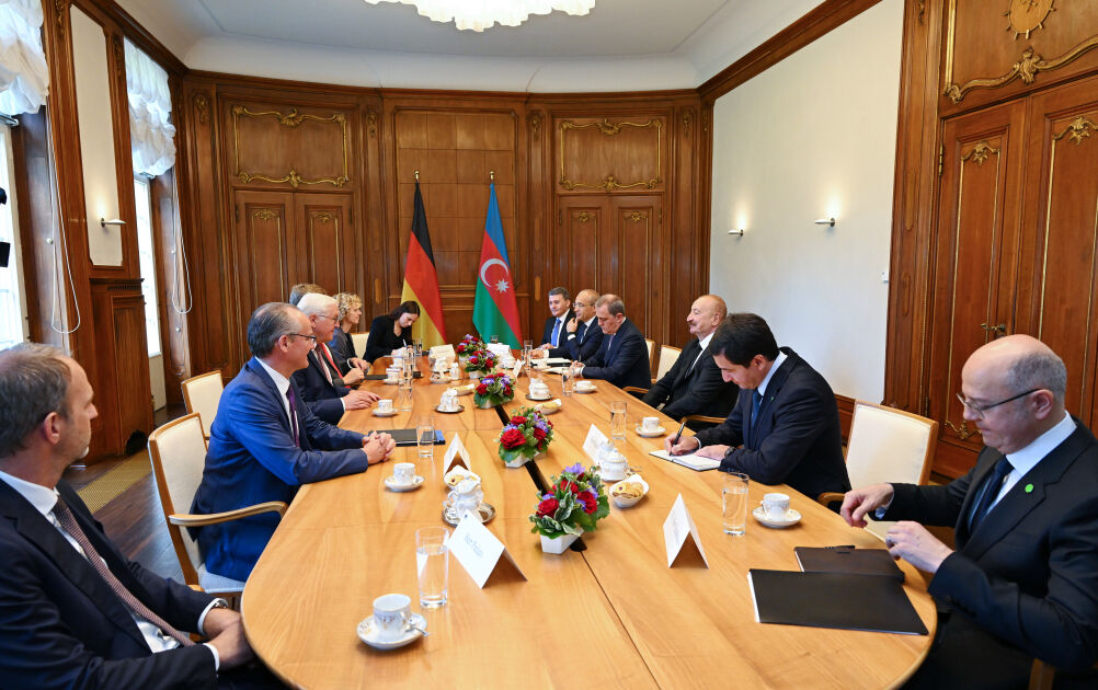 Steinmeier Ve Aliyev Görüşme