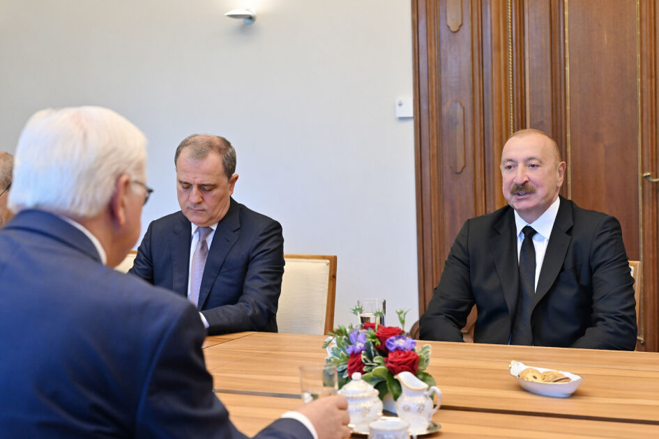 Steinmeier Ve Aliyev2
