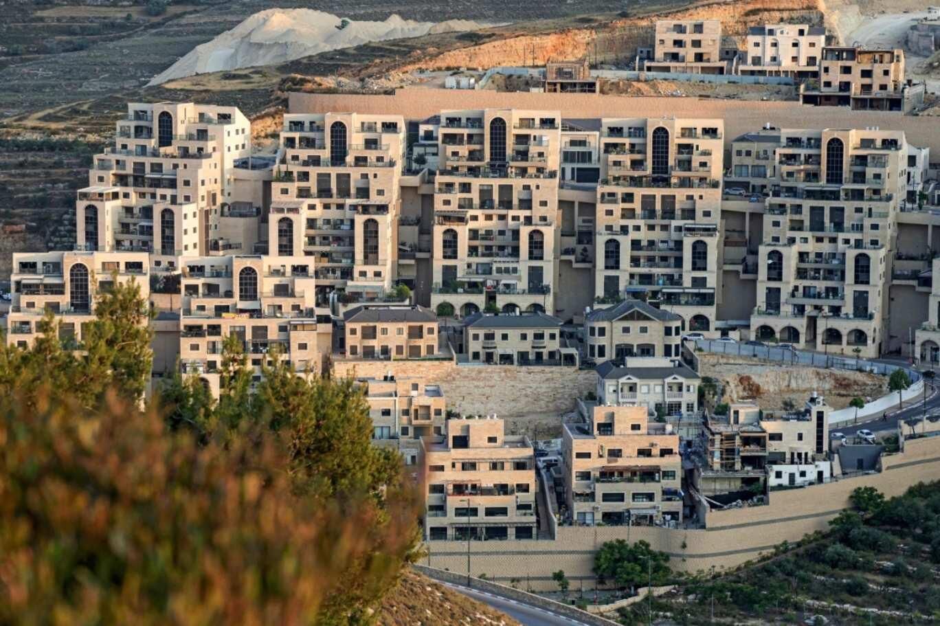 Yerlesim Yassak-1