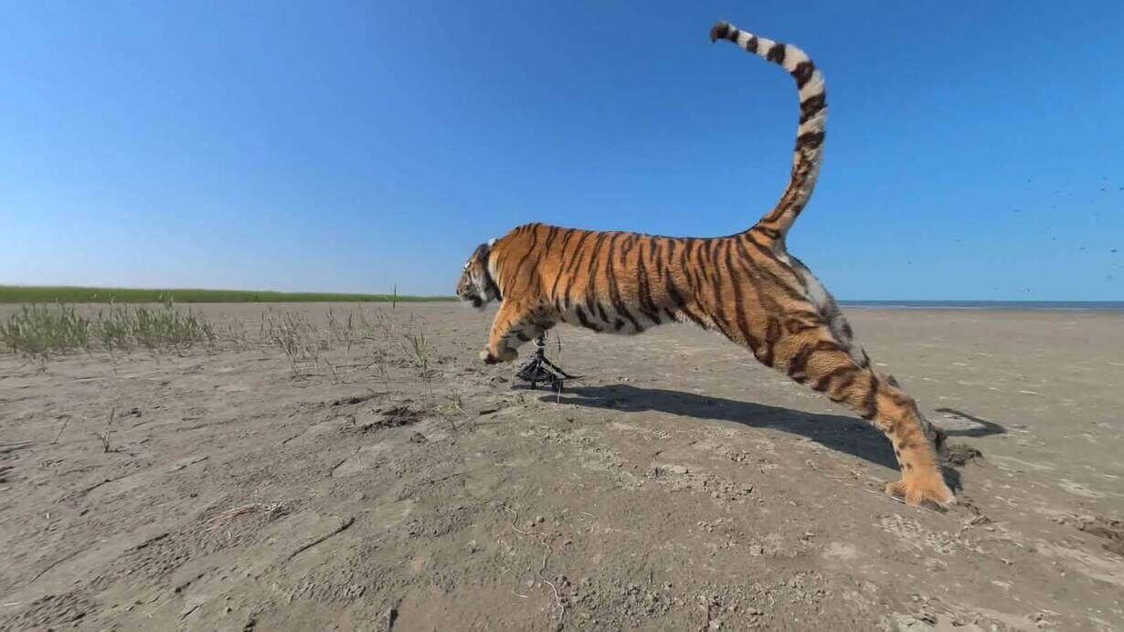 A A 20260803 42132193 42132188 K A Z A K I S T A N 70 Y I L I A S K I N S U R E N I N A R D I N D A N K A P L A N L A R I B O Z K I R L A R A D O N D U R M E K I C I N O N E M L I A D I M A T T I