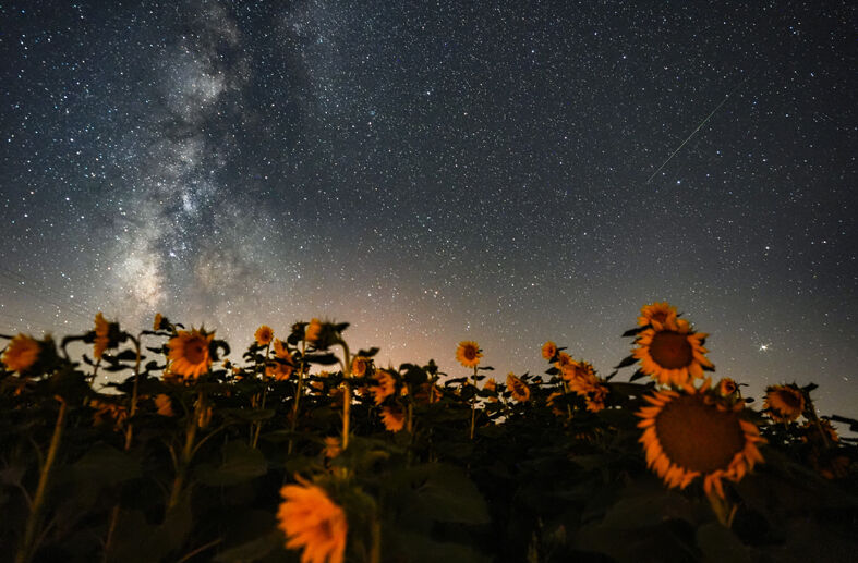 Meteor yağmuru görsel şölen sundu