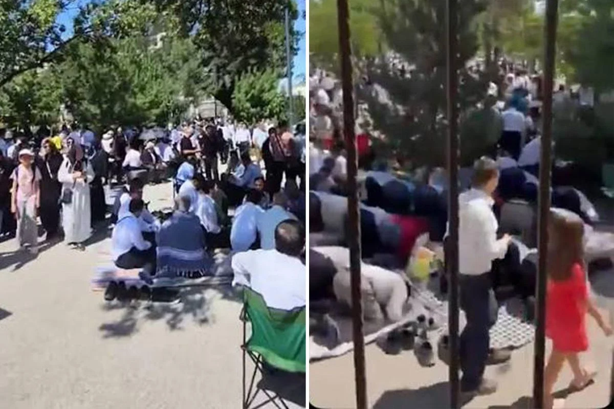 Alihan Kuris Ankaraya Getirildi Suleymancilar 20148500 5551 Amp