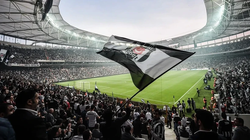 Bjk-8
