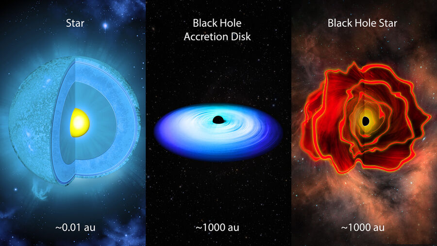 Black Hole Star (2)
