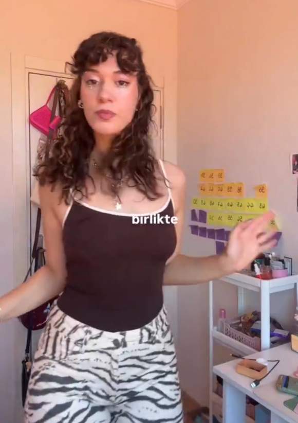 Ekran Görüntüsü 2026 08 03 095827