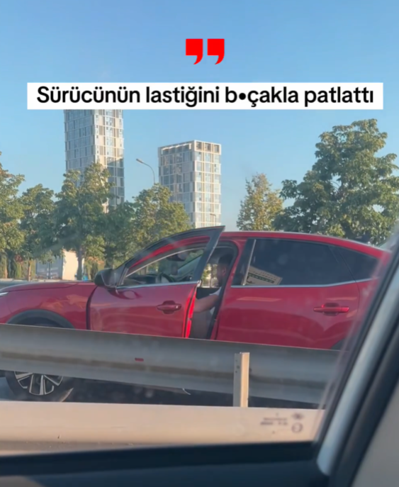 Ekran Görüntüsü 2026 08 06 220543