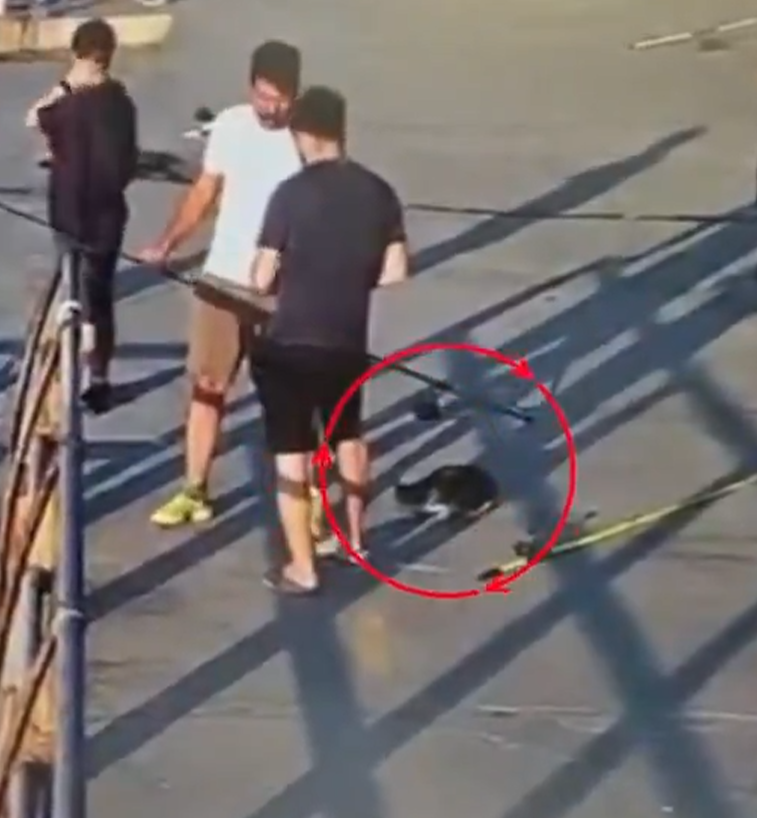 Ekran Görüntüsü 2026 08 06 234838