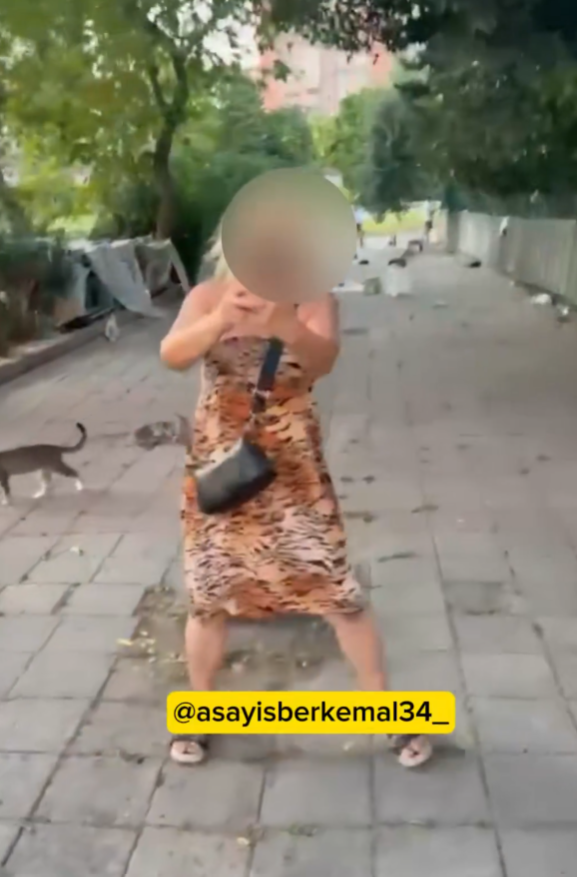 Ekran Görüntüsü 2026 08 07 135027