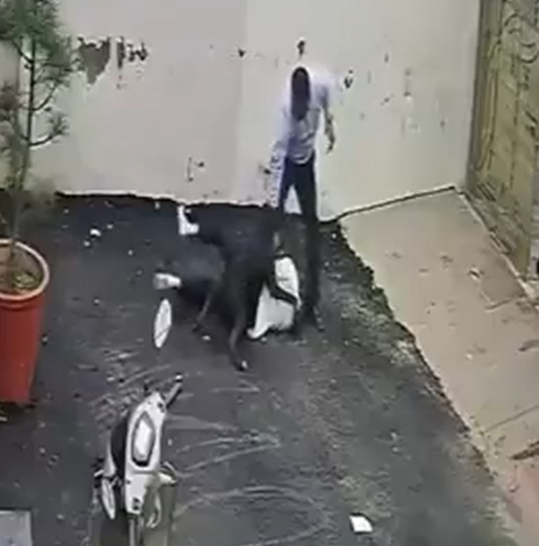 Ekran Görüntüsü 2026 08 13 000248
