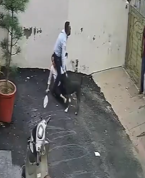 Ekran Görüntüsü 2026 08 13 000256