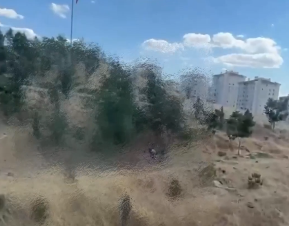 Ekran Görüntüsü 2026 08 18 150621