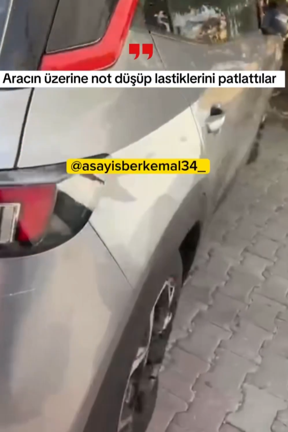 Ekran Görüntüsü 2026 08 22 133040