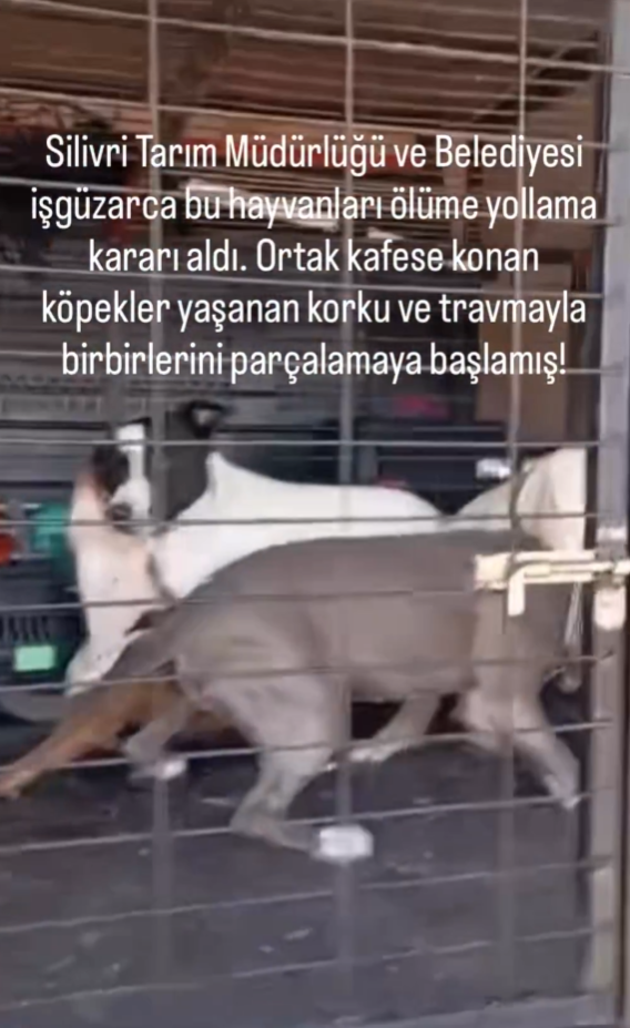 Ekran Görüntüsü 2026 08 29 103641