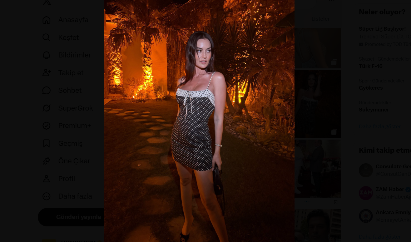 Fahriye Evcen (6)
