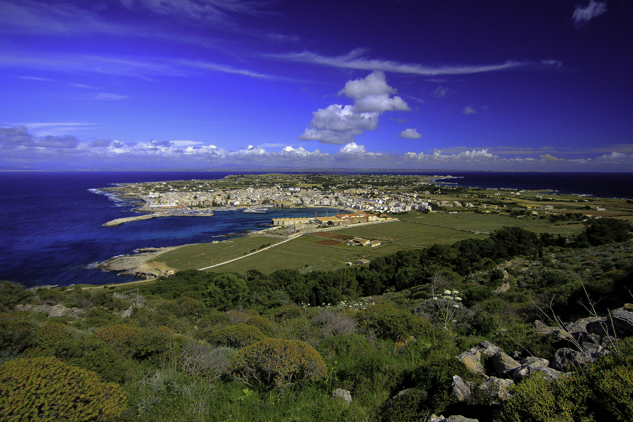 Favignana Island