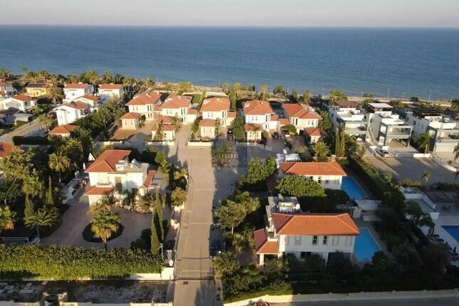 Larnaka 1