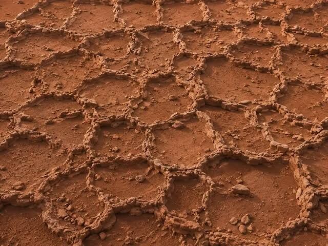 Mars4