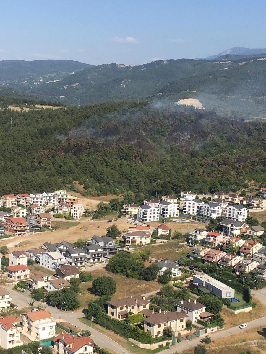 Ormana Yakın