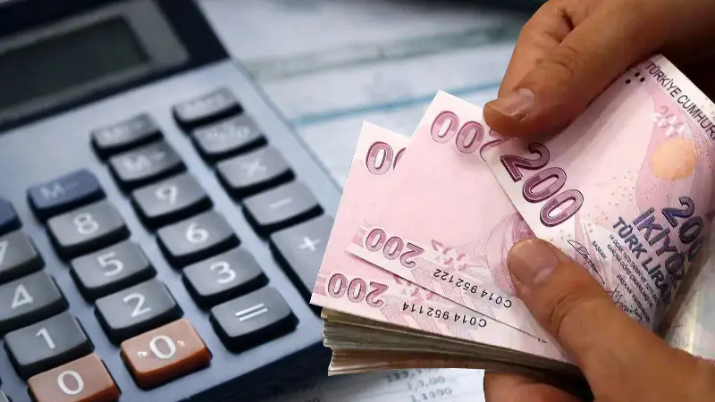 Vergi Denetimi Cezasi