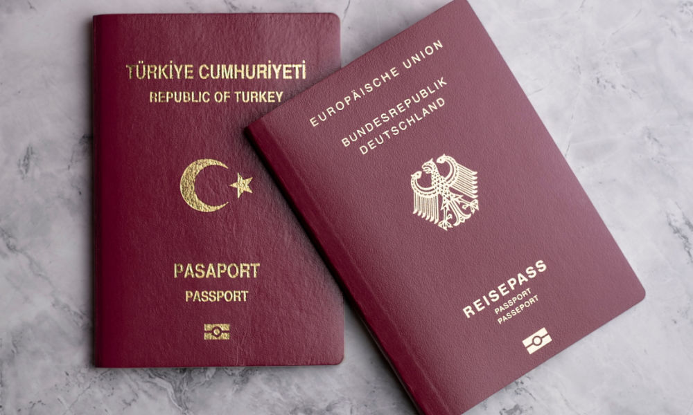 Vize 1