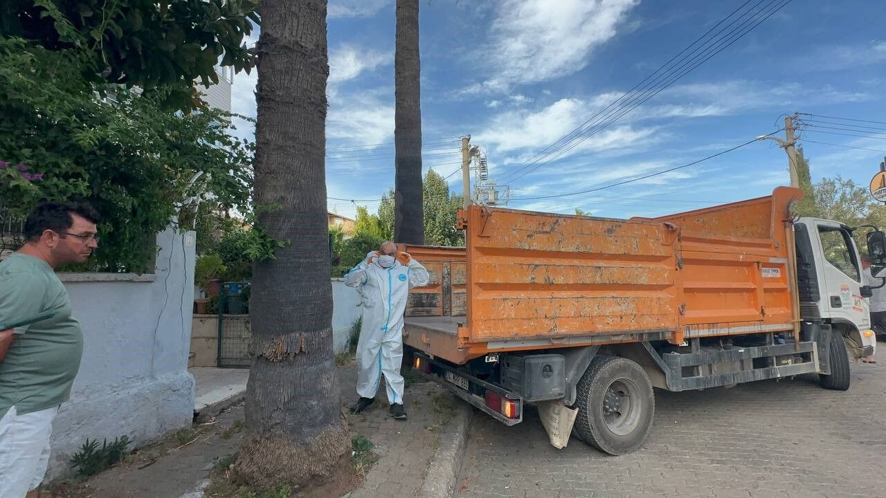 Kötü koku ekipleri harekete geçirdi! Marmaris'teki çöp evden bir kamyon çöp ve 30'a yakın kedi çıktı