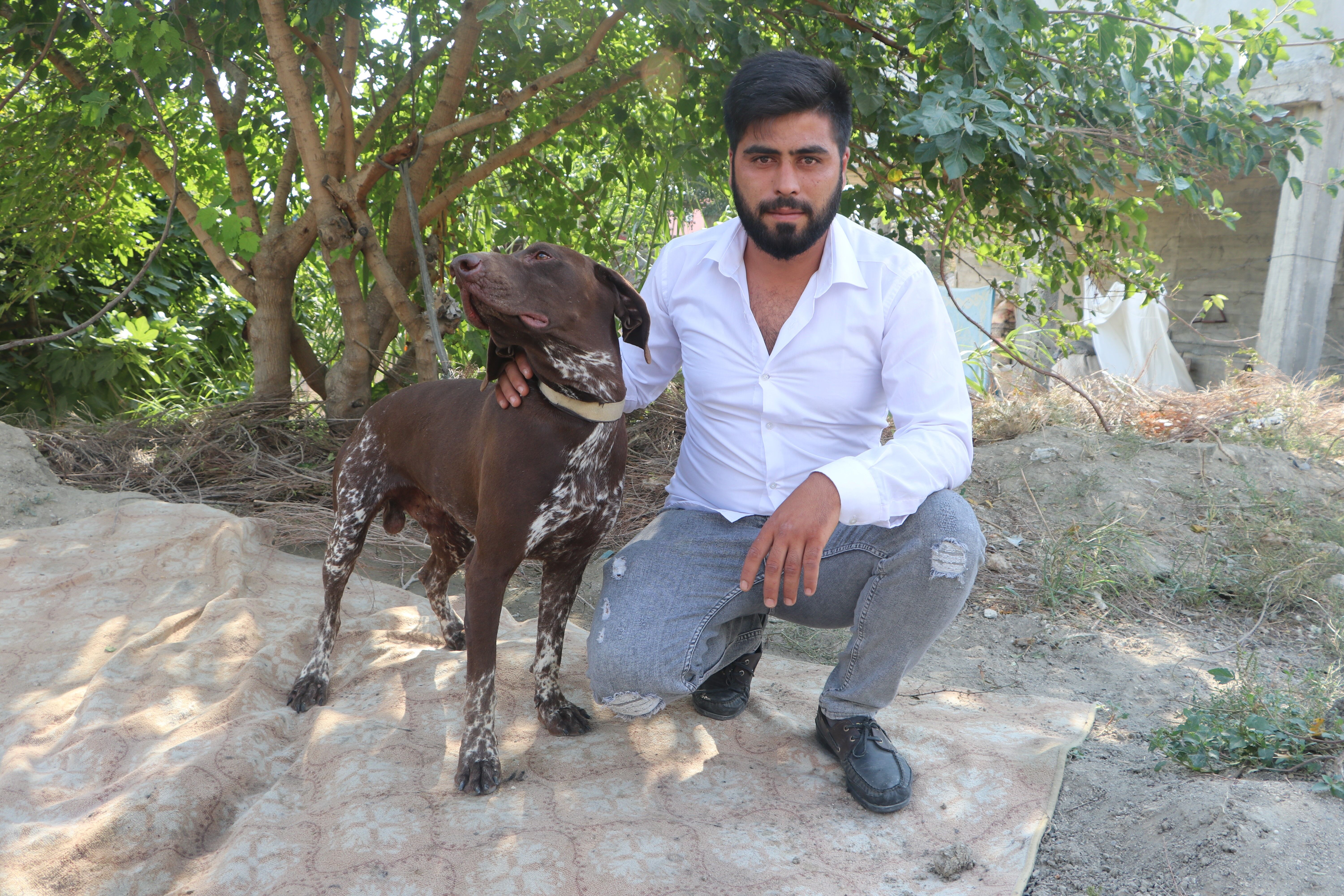 ADANA KÖPEĞE ŞİDDET-2