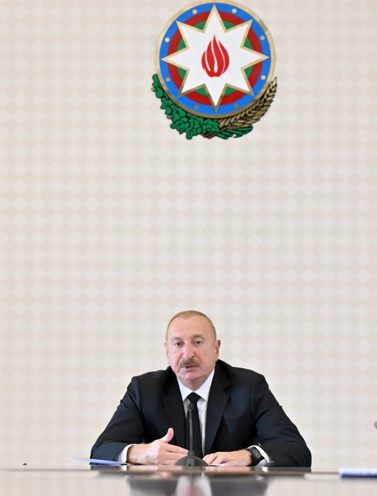 Aliyev 22