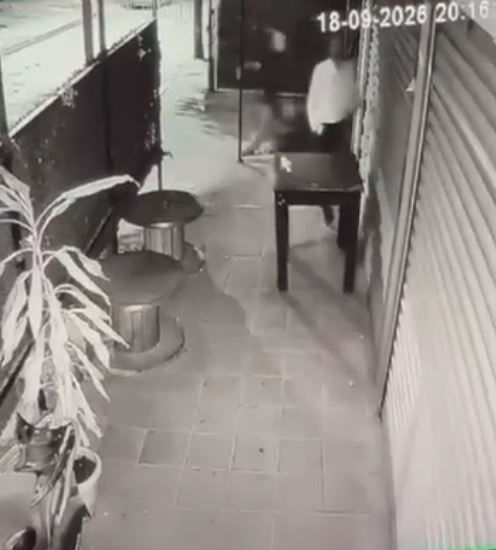 Aw791650 02 (1)