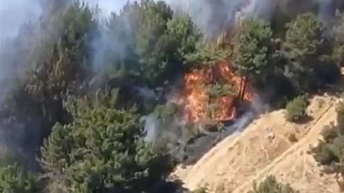 Balıkesir'de korkutan yangın! Alevler ormana sıçradı