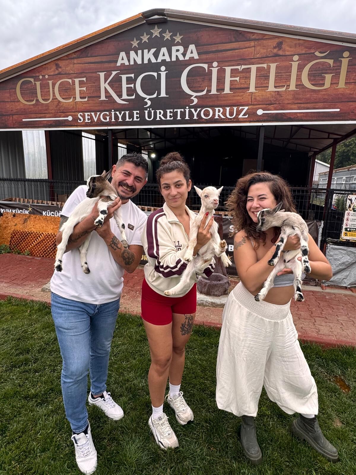 Cüce Keçiler